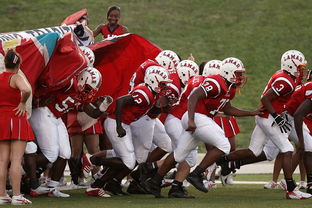 AYX SPORTS-76人球队文化墙正式揭幕展示历史荣誉，76人队图案