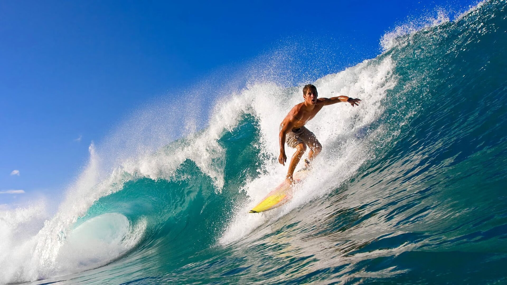 德甲赛事精彩瞬间:点点滴滴的高光时刻,德甲看点